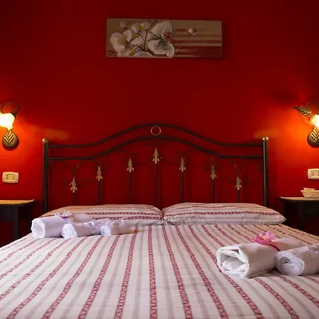 116 Guest house